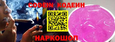 СК Новозыбков