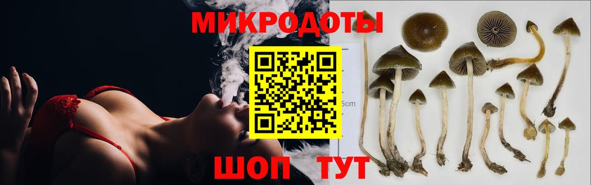 Галлюциногенные грибы Magic Shrooms Северобайкальск